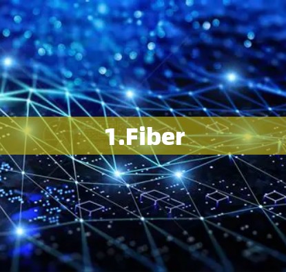 1.Fiber 1.Fiber