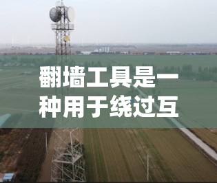 翻墙工具是一种用于绕过互联网防火墙或VPN的工具。以下是几种常见的免费翻墙工具，供您参考