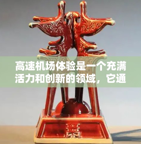 高速机场体验是一个充满活力和创新的领域，它通过多种因素满足了人们的出行需求，尤其是在快速移动的环境下。以下是对高速机场体验的详细分析