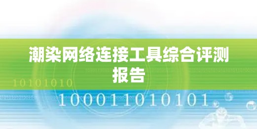 潮染网络连接工具综合评测报告 潮染网络连接工具综合评测报告