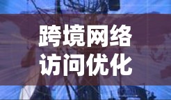 跨境网络访问优化工具推荐与体验报告 跨境网络访问优化工具推荐与体验报告
