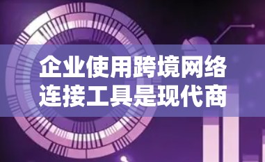 企业使用跨境网络连接工具是现代商务和技术发展的必然产物，它们帮助企业在跨国运营中实现高效、安全的数据流动和业务扩展。以下是对这些工具的详细介绍