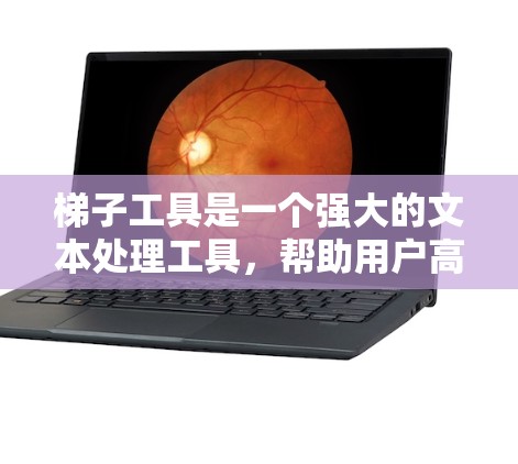 梯子工具是一个强大的文本处理工具,帮助用户高效地管理和生成文档。以下是一步步的指南,帮助你更好地使用梯子工具 梯子工具是一个强大的文本处理工具,帮助用户高效地管理和生成文档。以下是一步步的指南,帮助你更好地使用梯子工具