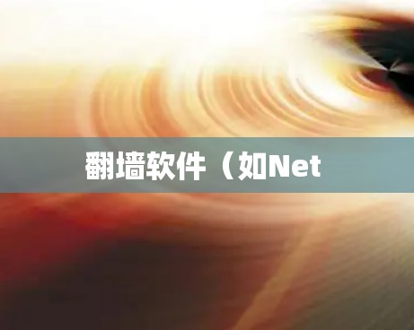 翻墙软件（如Net 