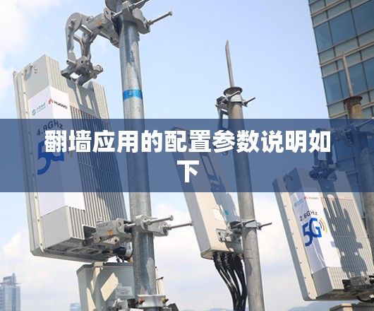 翻墙应用的配置参数说明如下 翻墙应用的配置参数说明如下