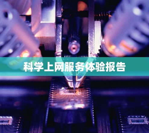 科学上网服务体验报告