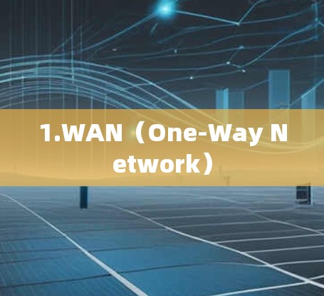 1.WAN(One-Way Network)