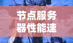 节点服务器性能速率排行分析