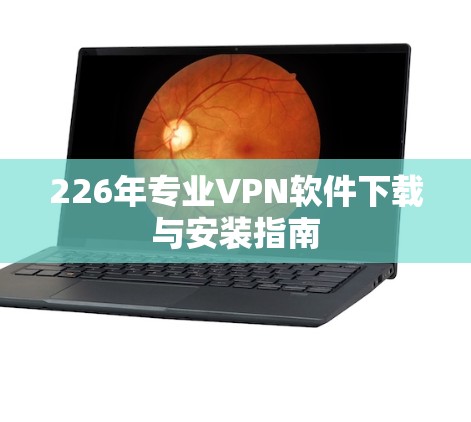 226年专业VPN软件下载与安装指南