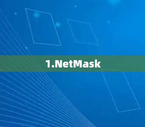1.NetMask 1.NetMask