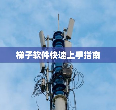 梯子软件快速上手指南 梯子软件快速上手指南