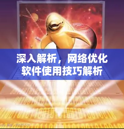 深入解析，网络优化软件使用技巧解析