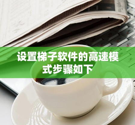 设置梯子软件的高速模式步骤如下