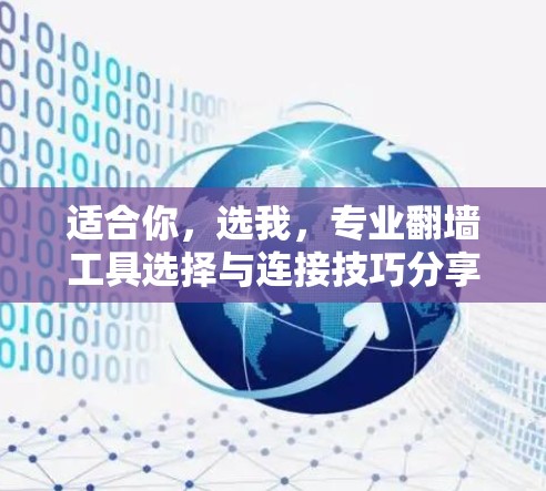 适合你，选我，专业翻墙工具选择与连接技巧分享