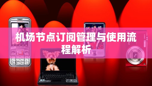 机场节点订阅管理与使用流程解析 机场节点订阅管理与使用流程解析