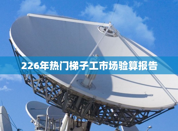 226年热门梯子工市场验算报告