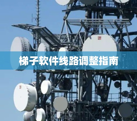 梯子软件线路调整指南 梯子软件线路调整指南