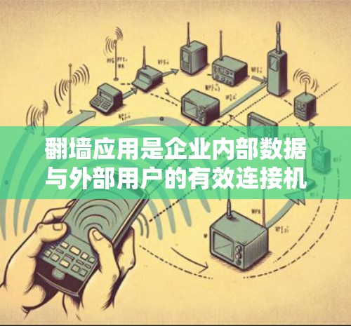 翻墙应用是企业内部数据与外部用户的有效连接机制，其功能全面且需综合考虑多个方面。以下是对翻墙应用功能的详细解析