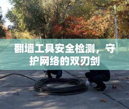 翻墙工具安全检测,守护网络的双刃剑 翻墙工具安全检测,守护网络的双刃剑