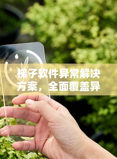 梯子软件异常解决方案，全面覆盖异常管理与预防