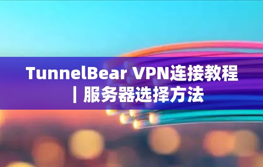 TunnelBear VPN连接教程|服务器选择方法 TunnelBear VPN连接教程|服务器选择方法