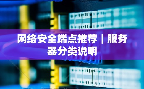 网络安全端点推荐|服务器分类说明 网络安全端点推荐|服务器分类说明
