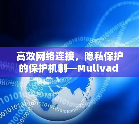 高效网络连接，隐私保护的保护机制—Mullvad VPN替代方案