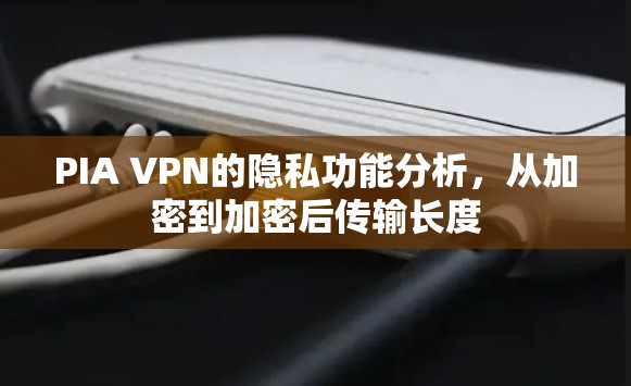 PIA VPN的隐私功能分析，从加密到加密后传输长度