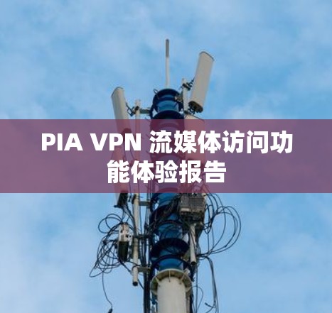 PIA VPN 流媒体访问功能体验报告