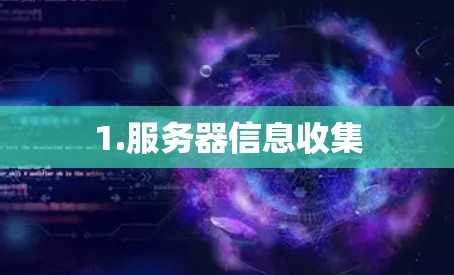 1.服务器信息收集 1.服务器信息收集