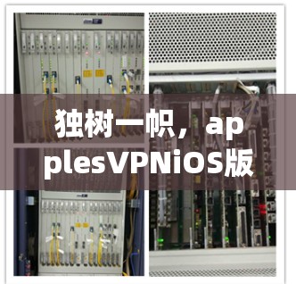 独树一帜,applesVPNiOS版如何轻松设置与使用 独树一帜,applesVPNiOS版如何轻松设置与使用