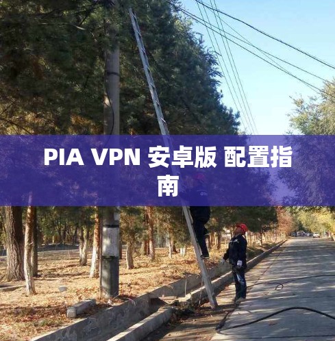 PIA VPN 安卓版 配置指南