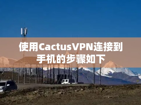 使用CactusVPN连接到手机的步骤如下