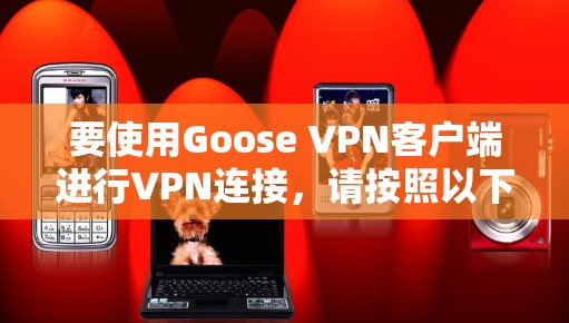 要使用Goose <strong>VPN客户端</strong>进行VPN连接，请按照以下步骤进行安装和配置