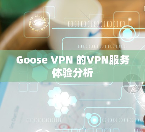 Goose VPN 的VPN服务体验分析