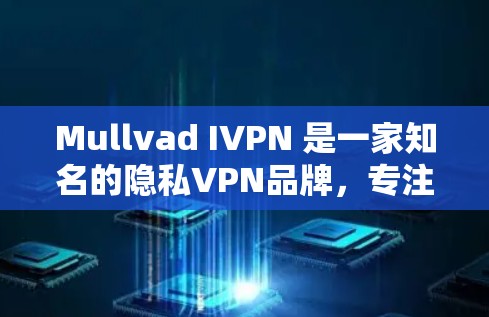 Mullvad IVPN 是一家知名的隐私VPN品牌，专注于提供安全、可靠的网络连接。以下是对 Mullvad IVPN 的安全性分析