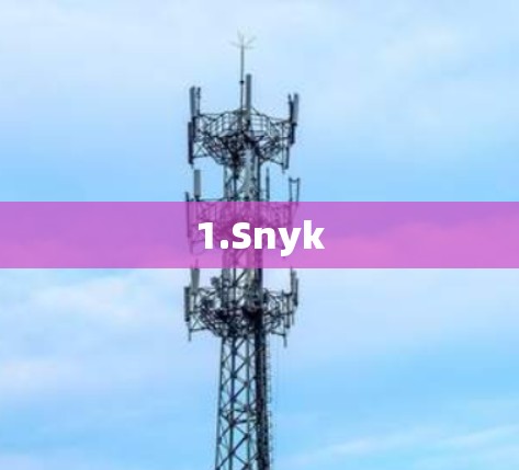 1.Snyk 1.Snyk
