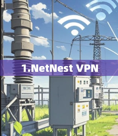 1.NetNest VPN 1.NetNest VPN