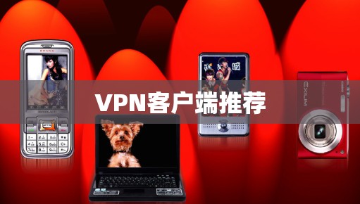 <strong>VPN客户端</strong>推荐