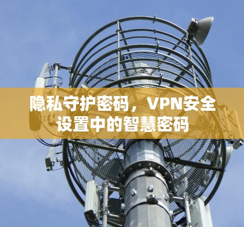 隐私守护密码，VPN安全设置中的智慧密码