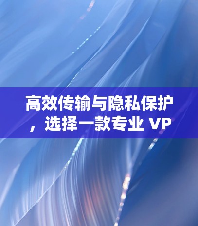 高效传输与隐私保护,选择一款专业 VPN 服务 高效传输与隐私保护,选择一款专业 VPN 服务