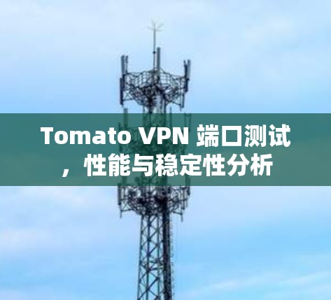 Tomato VPN 端口测试,性能与稳定性分析 Tomato VPN 端口测试,性能与稳定性分析