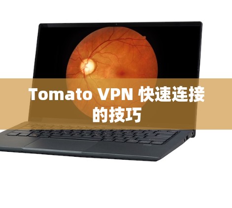 Tomato VPN 快速连接的技巧 Tomato VPN 快速连接的技巧