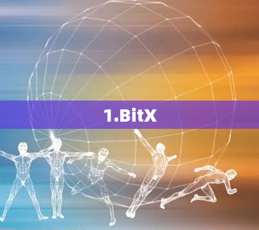 1.BitX 1.BitX