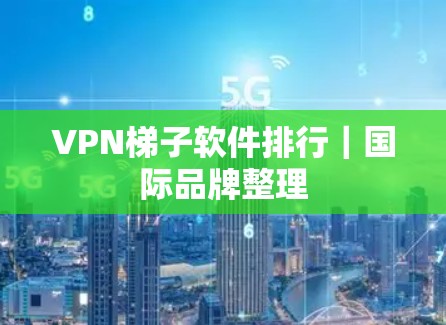 VPN梯子软件排行|国际品牌整理