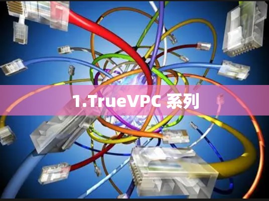 1.TrueVPC 系列
