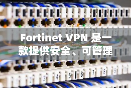 Fortinet VPN 是一款提供安全、可管理的VPN解决方案,允许用户在不依赖本地服务器的情况下,访问外部网络。为了替代或选择 Fortinet VPN,可以考虑以下方案和安全工具