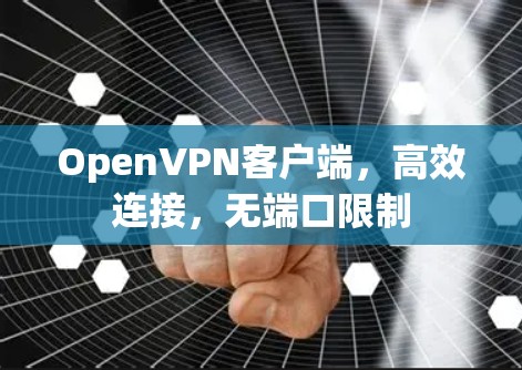 Open<strong>VPN客户端</strong>，高效连接，无端口限制