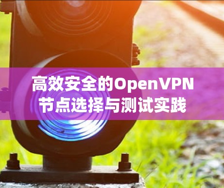 高效安全的OpenVPN节点选择与测试实践 高效安全的OpenVPN节点选择与测试实践