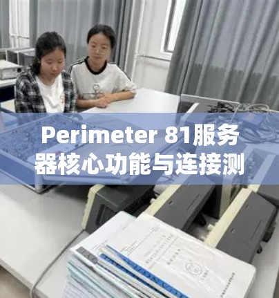 Perimeter 81服务器核心功能与连接测试回顾